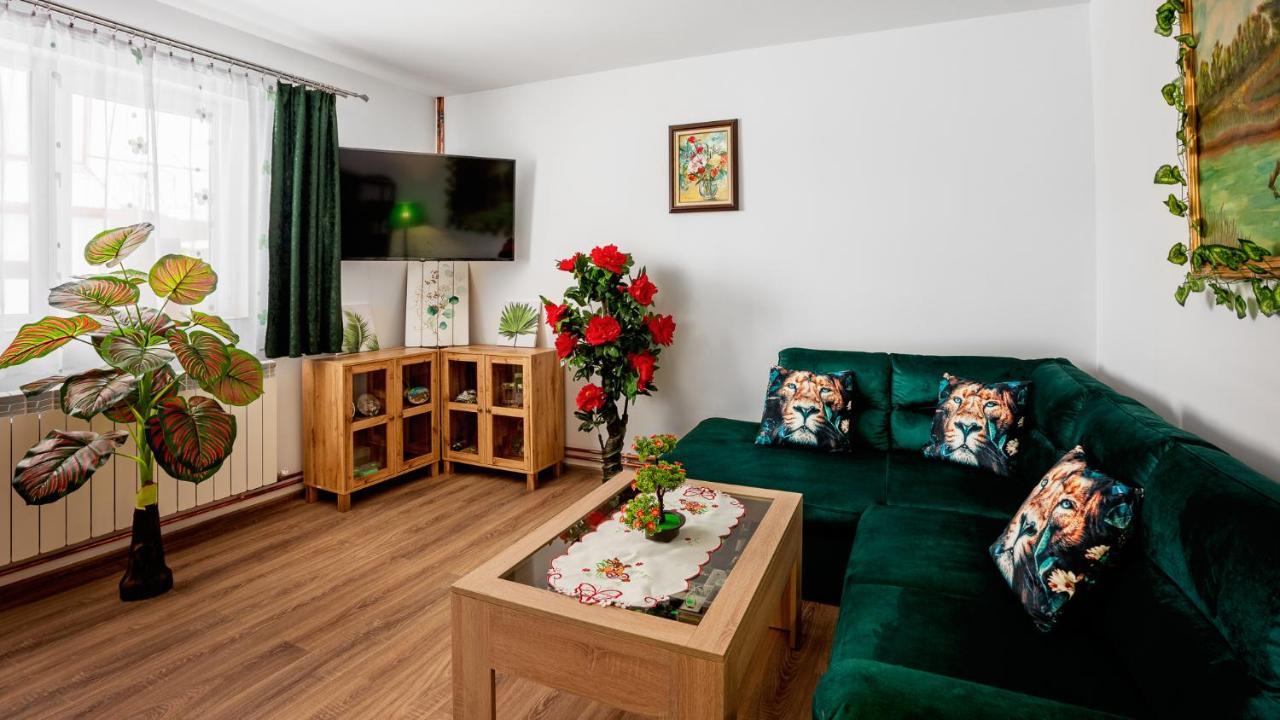 Casuta Cu Flori Hotel Vilcele  Екстериор снимка