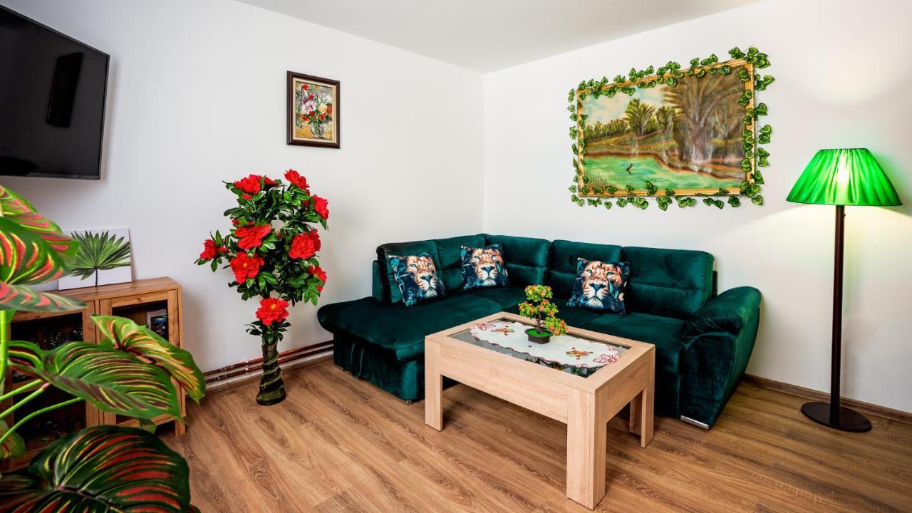 Casuta Cu Flori Hotel Vilcele  Екстериор снимка
