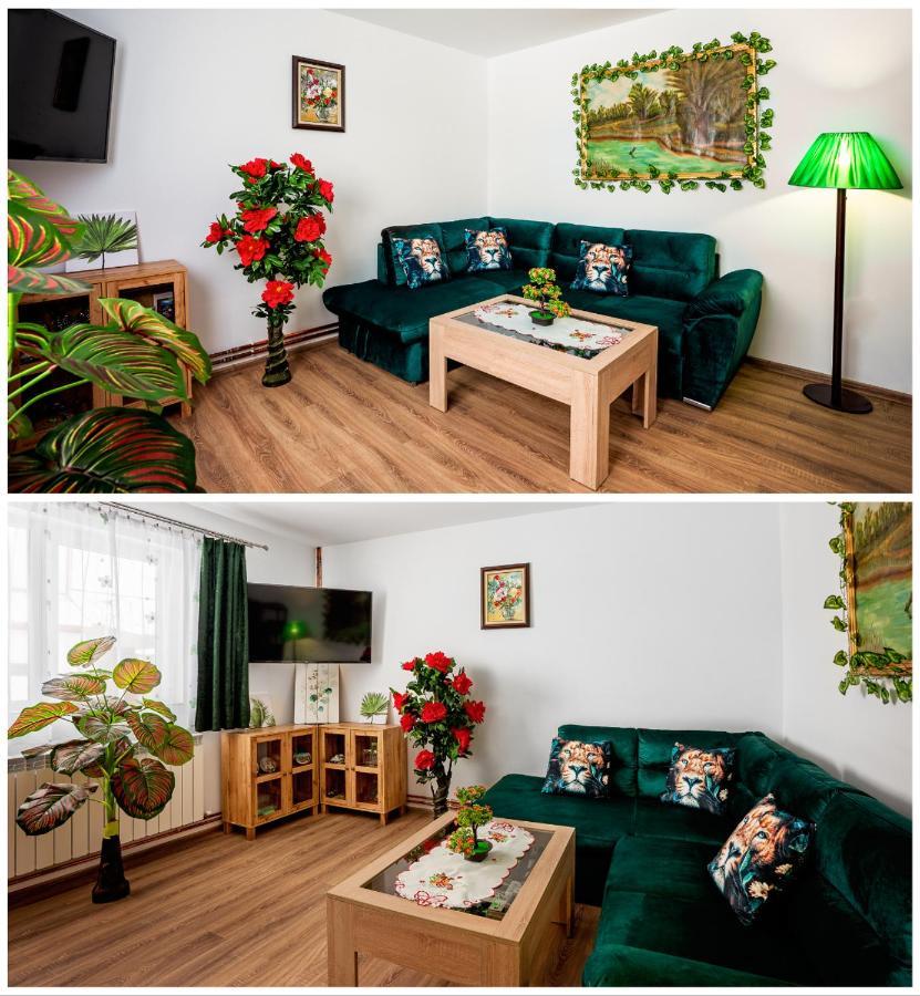 Casuta Cu Flori Hotel Vilcele  Екстериор снимка