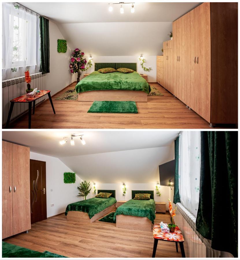 Casuta Cu Flori Hotel Vilcele  Екстериор снимка