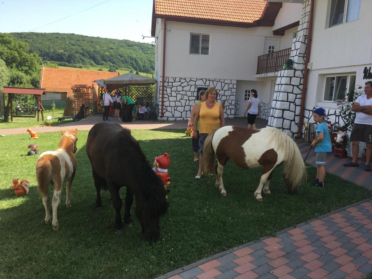 Casuta Cu Flori Hotel Vilcele  Екстериор снимка