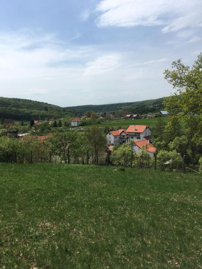 Casuta Cu Flori Hotel Vilcele  Екстериор снимка
